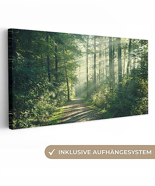 OneMillionCanvasses® Leinwandbild Panorama Wald - Weg - Sonne - Bäume - Grü günstig online kaufen