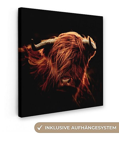 OneMillionCanvasses® Leinwandbild Schottischer Highlander - Kuh - Hörner - günstig online kaufen