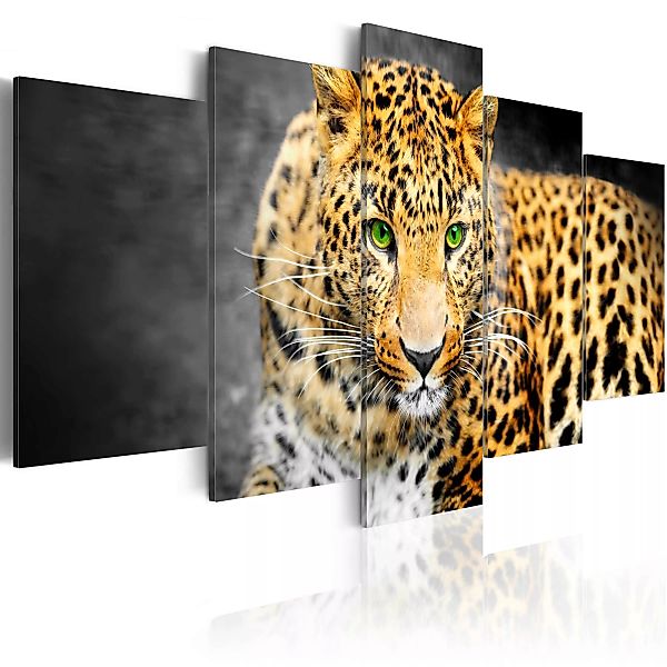 Wandbild - Green-eyed leopard günstig online kaufen