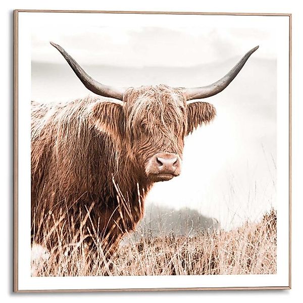 Wandbild NATURE Cow Slim Frame Wood ca. 50x50 cm SMF87283 günstig online kaufen