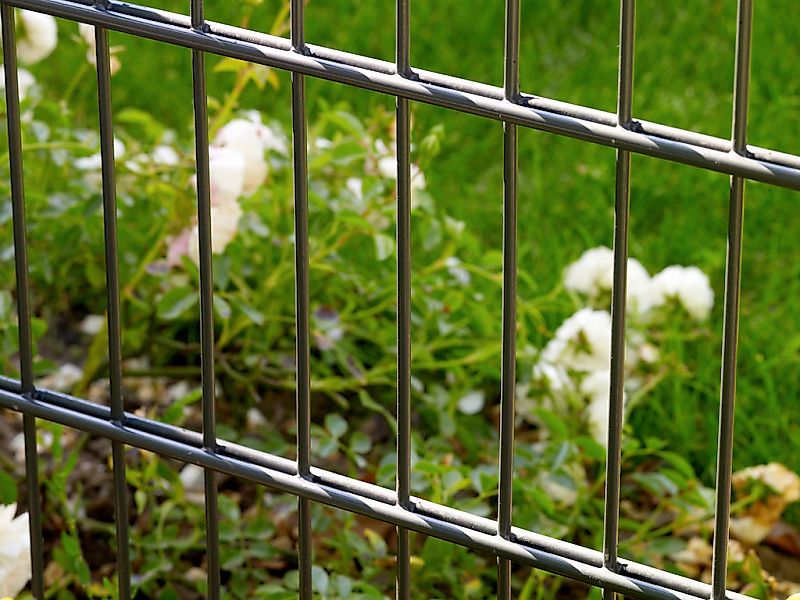 Peddy Shield Doppelstabmattenzaun 123 cm hoch, 3 Matten für 6 m Zaun, ohne günstig online kaufen