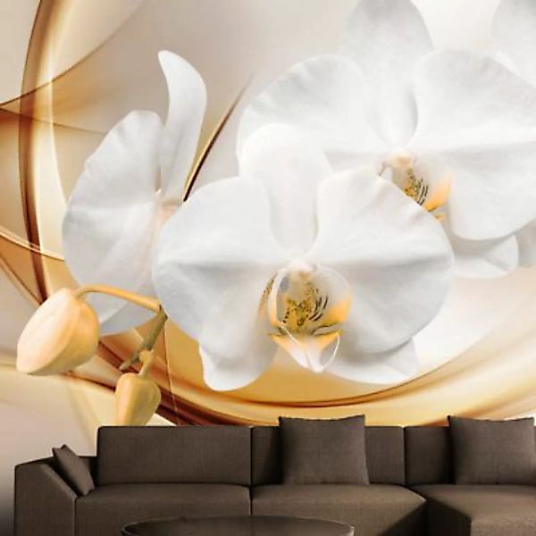 artgeist Fototapete Orchid blossom mehrfarbig Gr. 350 x 245 günstig online kaufen