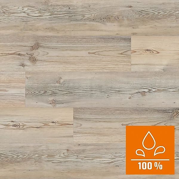 Kaindl Proganic Laminat 8,5 mm Wasserfest Kiefer Maloja Prince günstig online kaufen