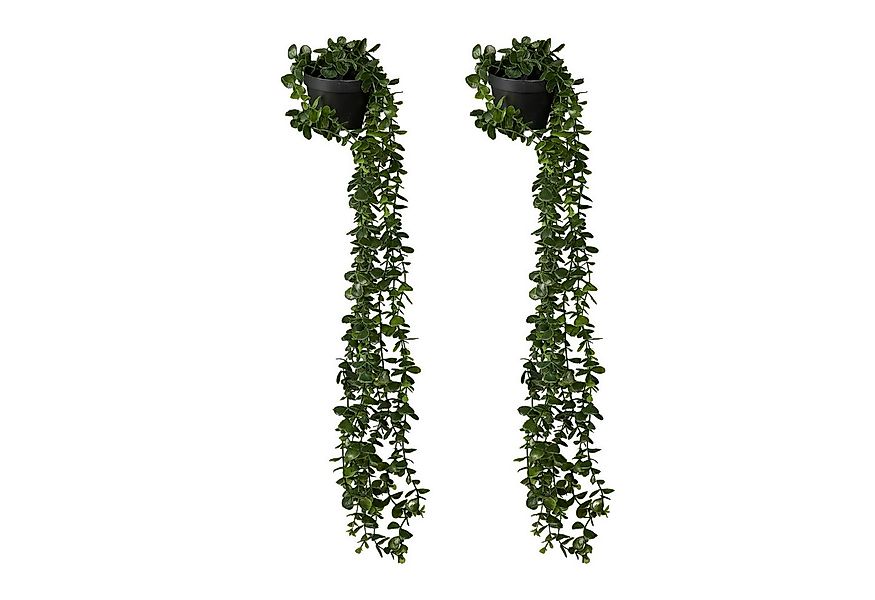 Kunstpflanze 2er Set Künstliche Hängepflanzen im Topf Eukalyptus, relaxdays günstig online kaufen