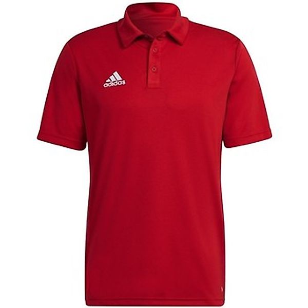 adidas  T-Shirt Entrada 22 günstig online kaufen