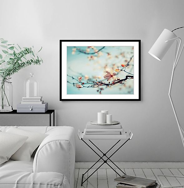 queence Bild »Roxy«, Blumen, gerahmt, Rosen günstig online kaufen