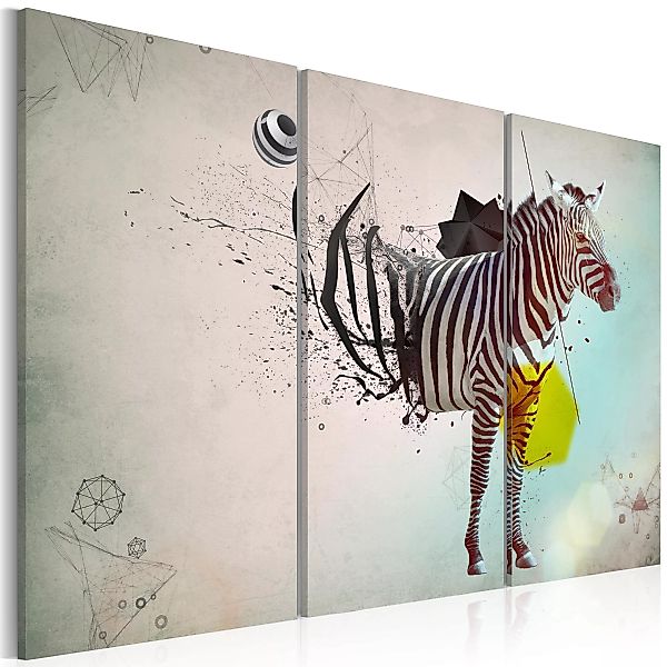 Wandbild - Zebra - Abstrakt günstig online kaufen