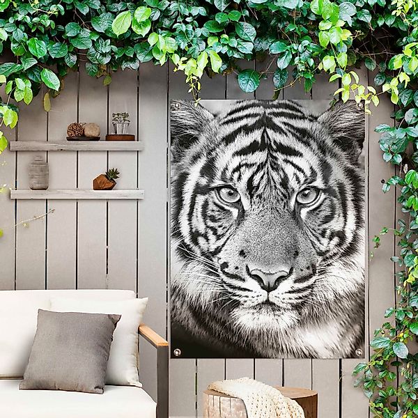 Reinders Poster "Tigerblick" günstig online kaufen