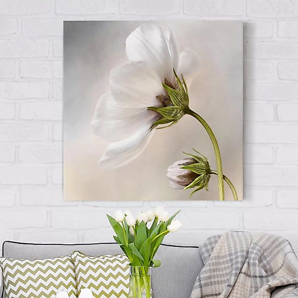 Leinwandbild Blumen - Quadrat Himmlischer Blütentraum günstig online kaufen