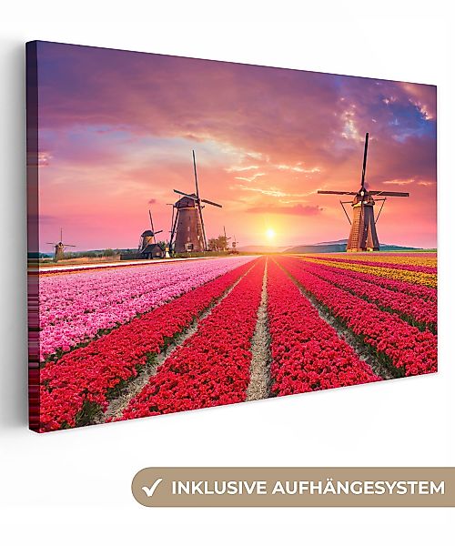 OneMillionCanvasses® Leinwandbild Blumen - Tulpen - günstig online kaufen