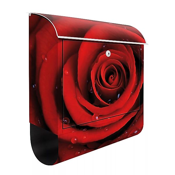 Briefkasten Liebe & Romantik Rote Rose mit Wassertropfen günstig online kaufen