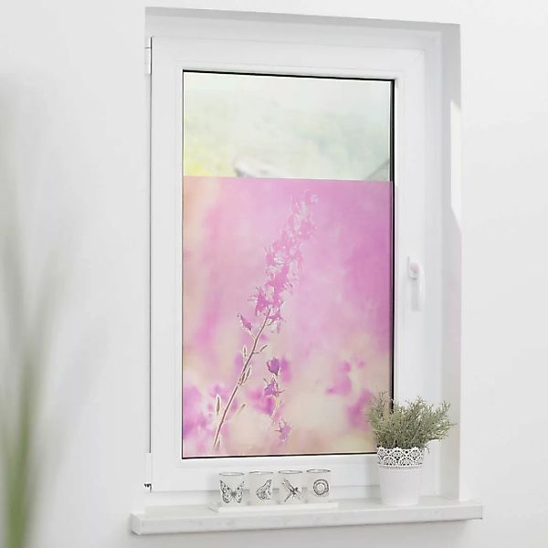 LICHTBLICK Fensterfolie Blumenwiese Blumen Blumenwiese violett B/L: ca. 100 günstig online kaufen