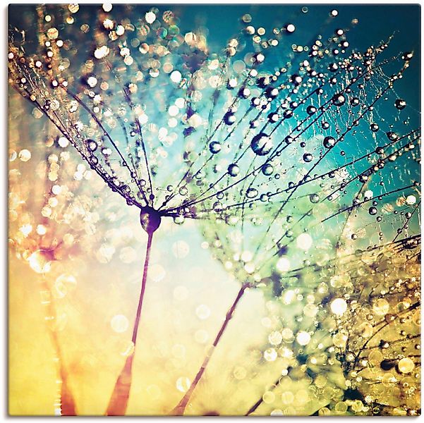 Artland Wandbild Pusteblume Zaubertropfen, Blumen (1 günstig online kaufen