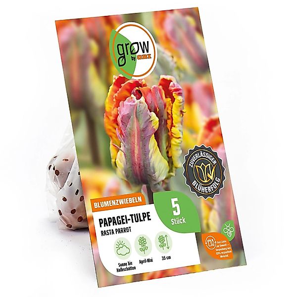 GROW by OBI Papagei-Tulpe Rasta Parrot Rot-Gelb 5 Stück Tulipa parrot günstig online kaufen