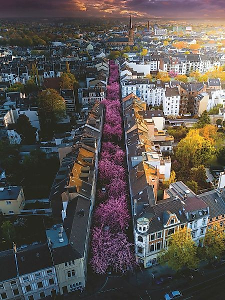 Ravensburger Puzzle Blühendes Bonn, 1500 Puzzleteile, günstig online kaufen