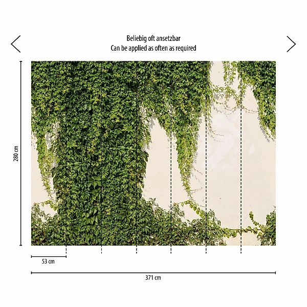 Livingwalls Fototapete Hedera Grün und Creme-Beige 371 x 280 cm AS-392271 günstig online kaufen