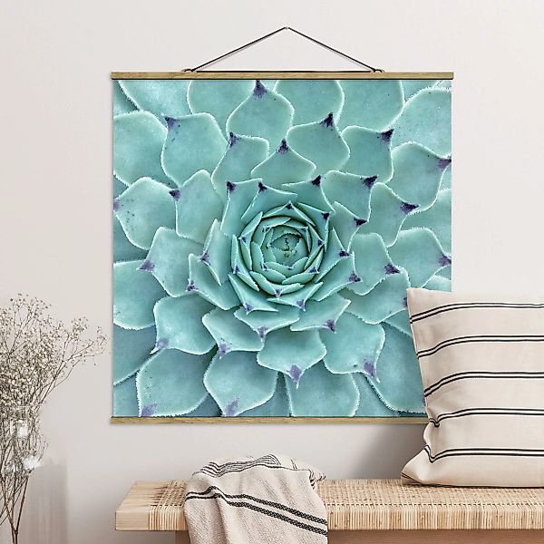 Stoffbild Blumen mit Posterleisten - Quadrat Kaktus Agave günstig online kaufen
