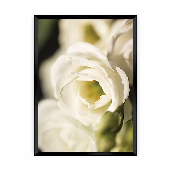 Poster Flower Wall, 30 x 40 cm, Rahmen wählen: schwarz günstig online kaufen