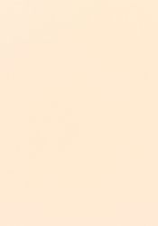 Verdunklungsrollo DKL SK06/MK06/CK02/FK06/MK04/CK04 1085S, VELUX, verdunkel günstig online kaufen