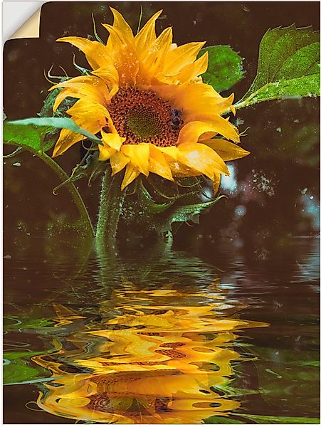 Artland Wandbild Sonnenblume, Blumen (1 St), günstig online kaufen
