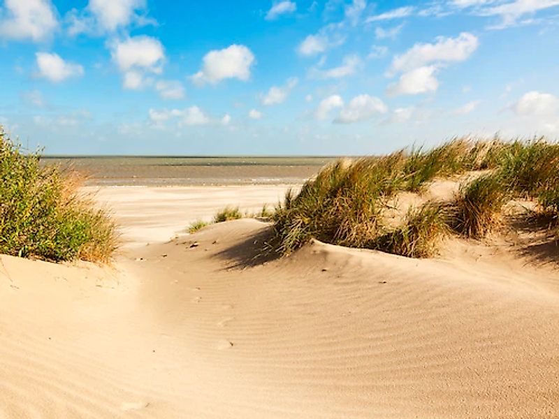 Papermoon Fototapete »Dunes Knokke-Heist« glatt günstig online kaufen