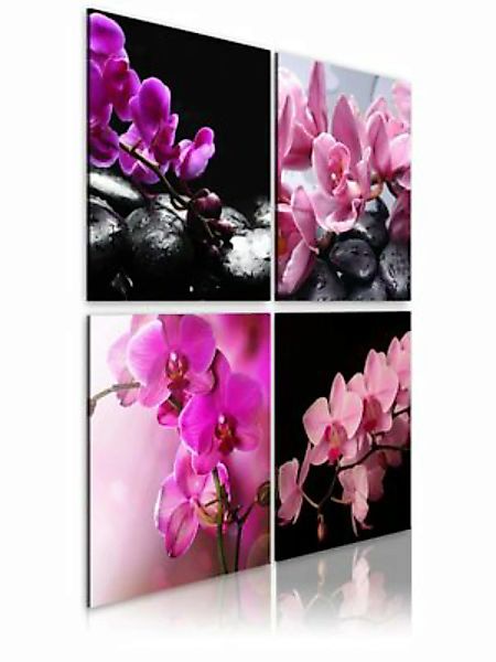 artgeist Wandbild Orchideen schöner als je zuvor mehrfarbig Gr. 90 x 90 günstig online kaufen