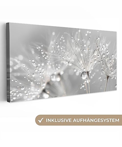OneMillionCanvasses® Leinwandbild Panorama Löwenzahn - Wassertropfen günstig online kaufen
