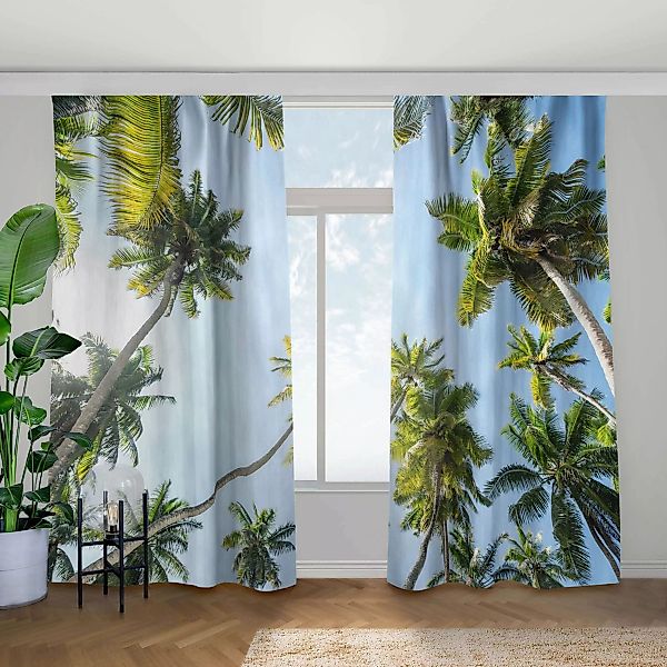 Vorhang Palmen Himmel günstig online kaufen