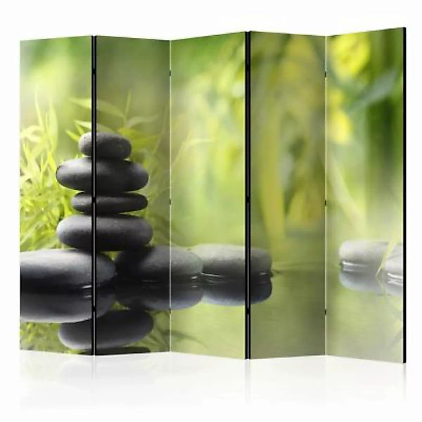 artgeist Paravent Serenity of nature II [Room Dividers] grau/grün Gr. 225 x günstig online kaufen