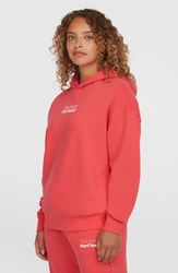 O'Neill Kapuzensweatshirt Future Surf Society Hoodie günstig online kaufen