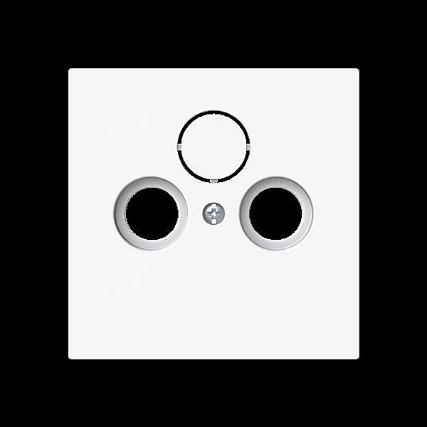 Busch-Jaeger Zentralscheibe Steckdose 2/3-fach 1743-44G günstig online kaufen