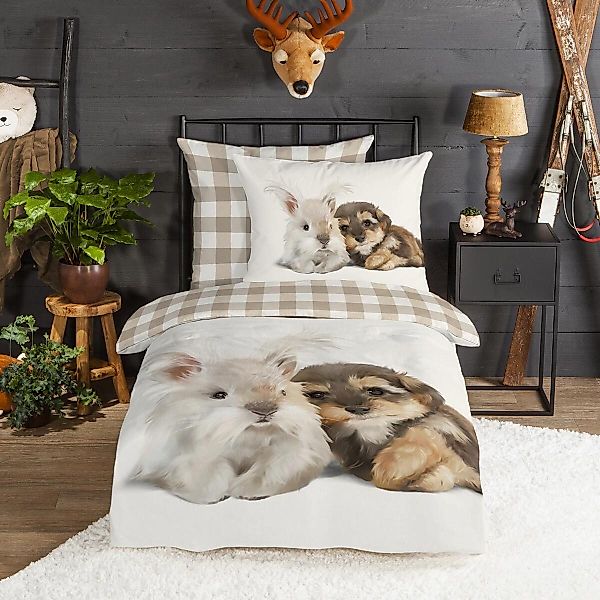 TRAUMSCHLAF Bettwäsche Hase und Hund, Flanell, günstig online kaufen