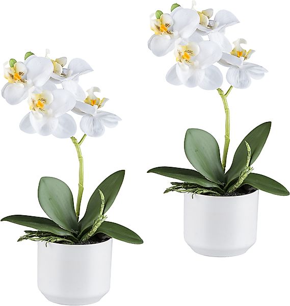 Creativ green Kunstorchidee "Orchidee Phalaenopsis" mit real-touch-Blüten günstig online kaufen
