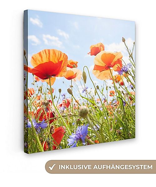 OneMillionCanvasses® Leinwandbild Blumen - Mohn - Frühling - Natur - Rot - günstig online kaufen
