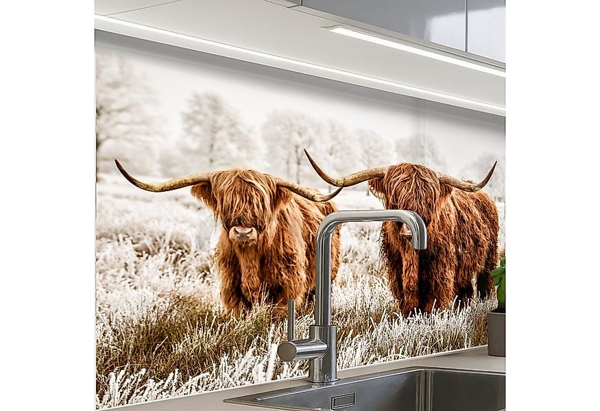 KitchenYeah Küchenrückwand selbstklebend Schottischer Hochländer - Kuh - Na günstig online kaufen