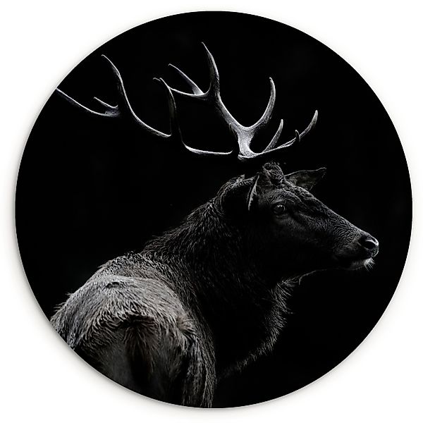 MuchoWow Gemälde Hirsch - Schwarz - günstig online kaufen