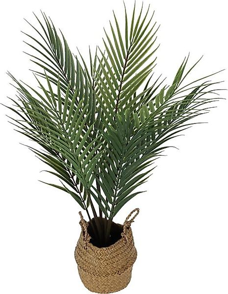 PLANT IN SEAGRASS Kunstpflanze mit Korb 1 Stück Polypropyleen Grün, Braun günstig online kaufen