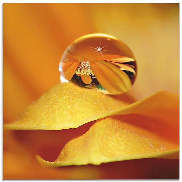 Artland Glasbild »Wassertropfen II« Blätter 1 Stk. tlg. in verschiedenen Gr günstig online kaufen