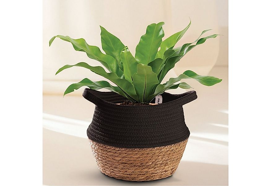 Praknu Aufbewahrungskorb Blumentopf aus nachhaltigem Seegras und Baumwolle günstig online kaufen