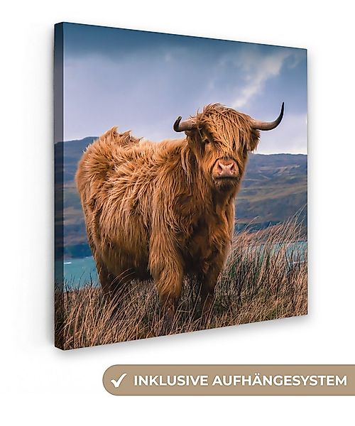 OneMillionCanvasses® Leinwandbild Schottischer Highlander - Berg - Wasser - günstig online kaufen