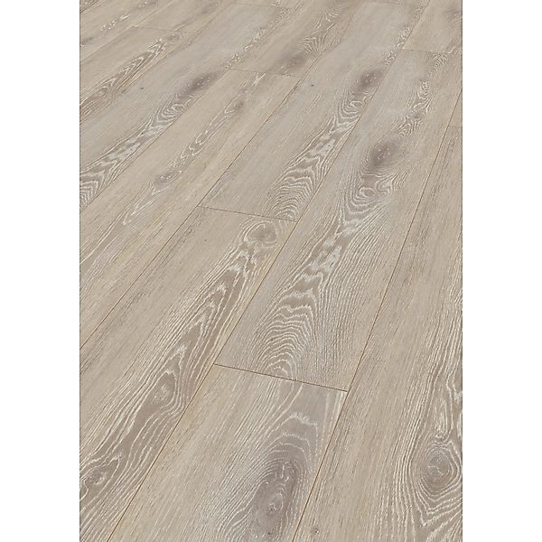 Jangal Laminatboden Oak National Park Line Ultimate Zembra günstig online kaufen