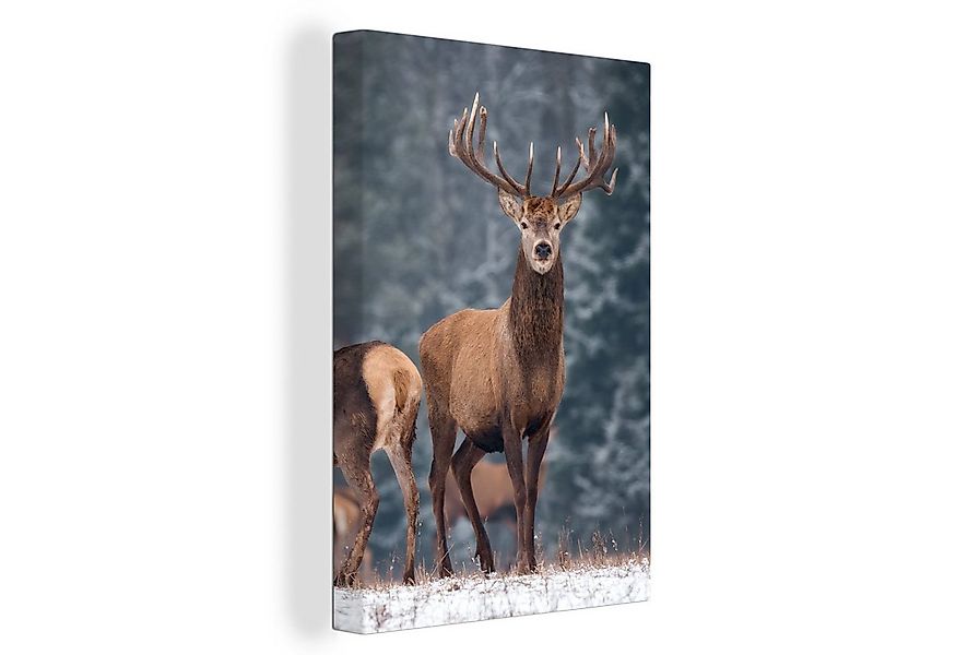 OneMillionCanvasses® Leinwandbild Waldtiere - Hirsche - Landschaft - Winter günstig online kaufen