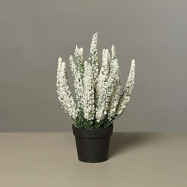 Kunstpflanze Künstliche Erika im Topf 27cm günstig online kaufen