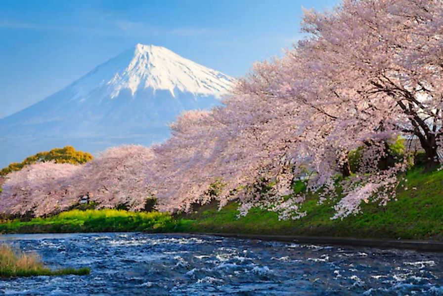 Papermoon Fototapete »Fuji and Sakura« günstig online kaufen