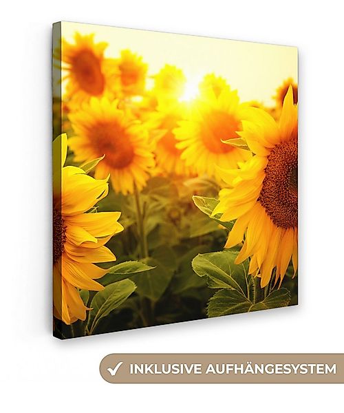 OneMillionCanvasses® Leinwandbild Sonnenblume - Gelb - Blumen - Sonne, Foto günstig online kaufen