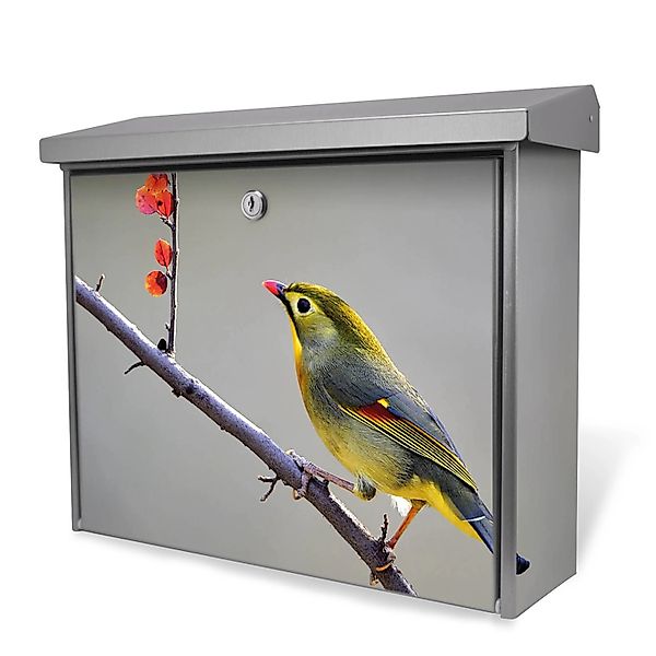 Banjado Briefkasten Edelstahl 38.5x31.5x12cm Ohne Zeitungsfach Inkl. Montag günstig online kaufen
