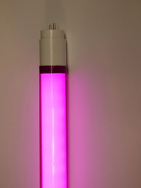 XENON LED Wandleuchte 9085 LED Röhre günstig online kaufen