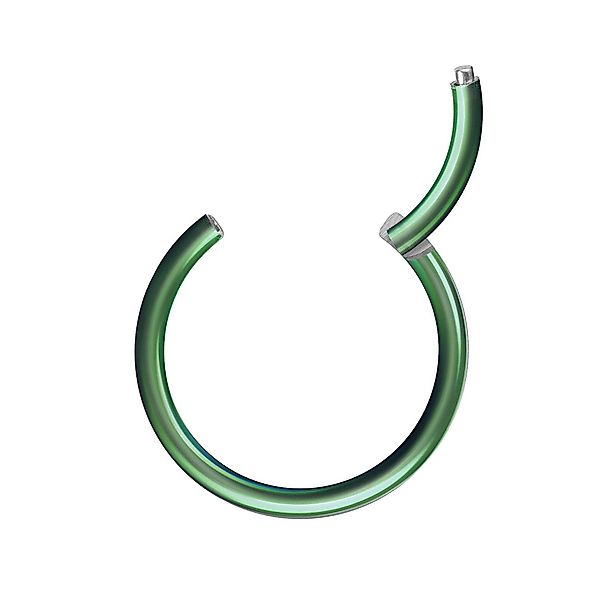 Taffstyle Nasenpiercing Segmentring Piercing Titan G23 günstig online kaufen