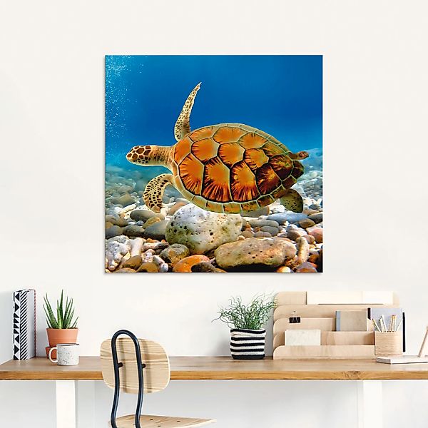 Artland Glasbild "Schildkröte", Wassertiere, (1 St.), in verschiedenen Größ günstig online kaufen