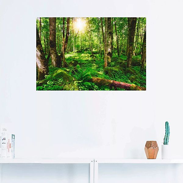 Artland Wandbild "Wald", Wald, (1 St.) günstig online kaufen